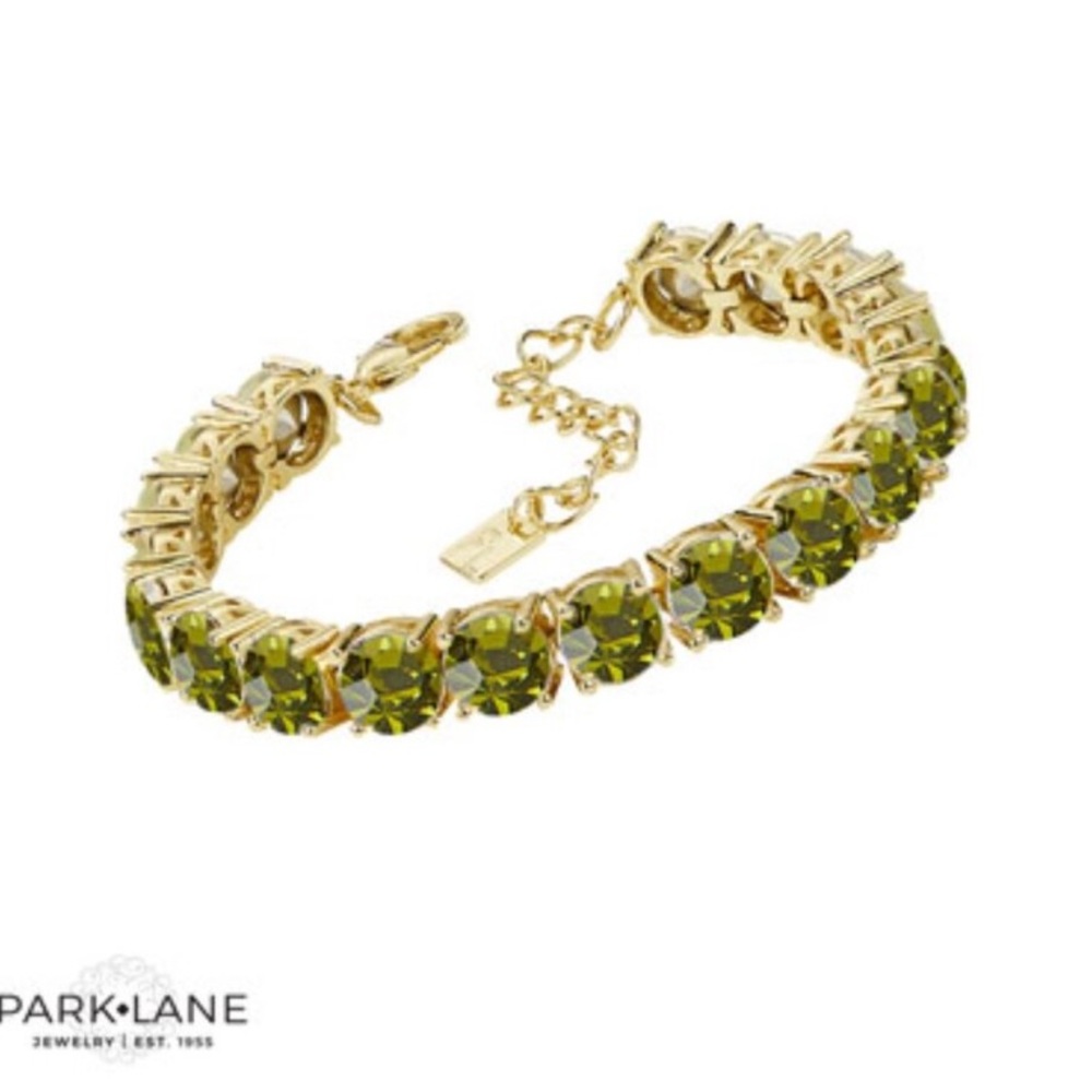 Park Lane Olive Impressions Bracelet NWT Limited edition!